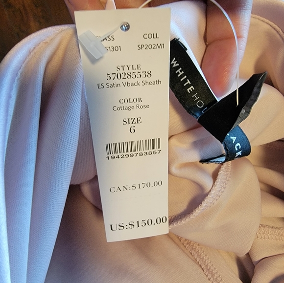 WHBM Sheath dress with Satin Vback in Cottage Rose Size 6 - Picture 5 of 8